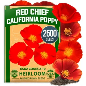 herb-seed-variety-kit