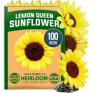 herb-seed-variety-kit