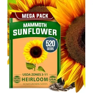 herb-seed-variety-kit