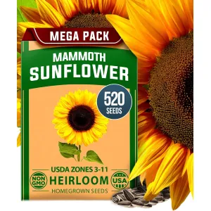 herb-seed-variety-kit