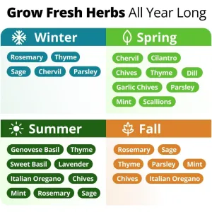 herb-seed-variety-kit