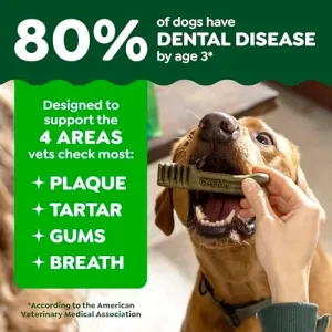 greenies-teenie-original-dental-treats