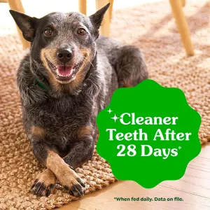 greenies-teenie-original-dental-treats