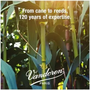 vandoren-alto-sax-reeds-3