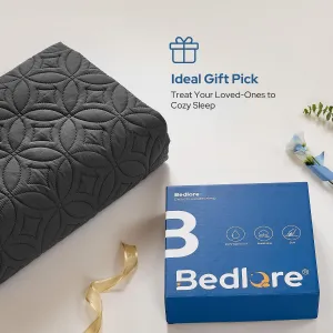 bedlore-waterproof-mattress-protector-queen-size-mattress-pad-noiseless