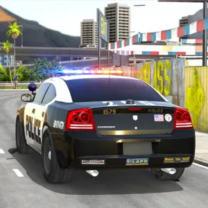 Politie - Vânătoare cu mașina de patrulă