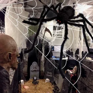 ocato-200-spider-web
