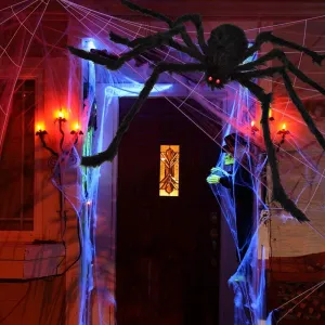 ocato-200-spider-web