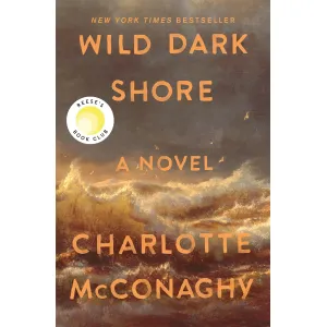 Wild Dark Shore Novel