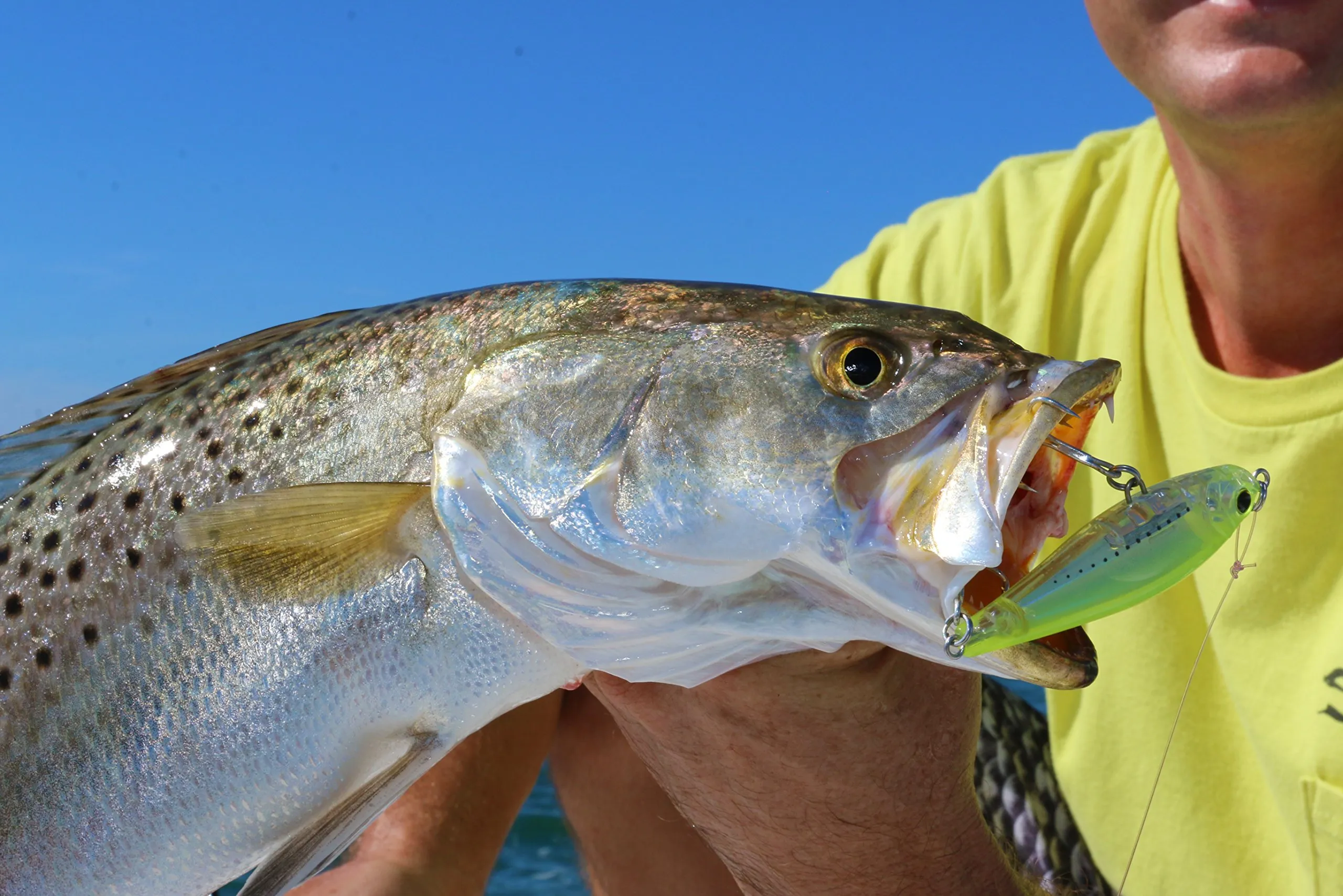 duel-yo-zuri-3-d-inshore