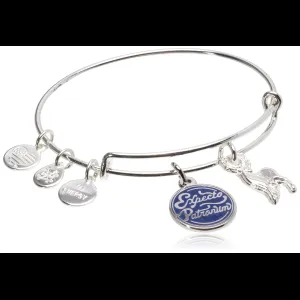 Harry Potter Duo Charm Armreif
