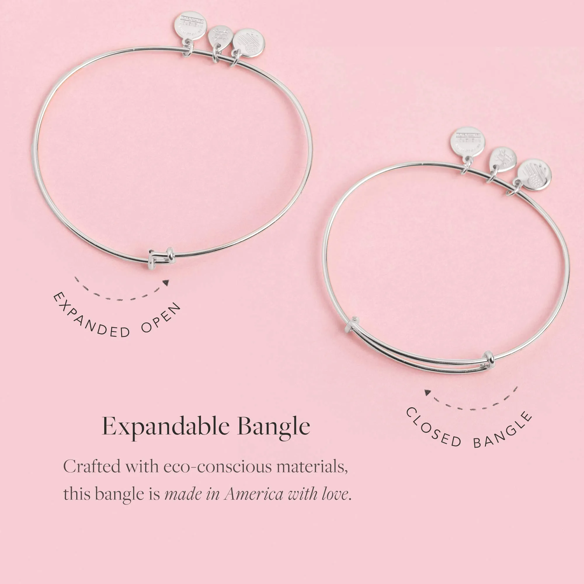 alex-and-ani-collaborations-harry-potter-duo-charms-expandable-bangle-for-women-shiny-finish-2-to-3-5-in