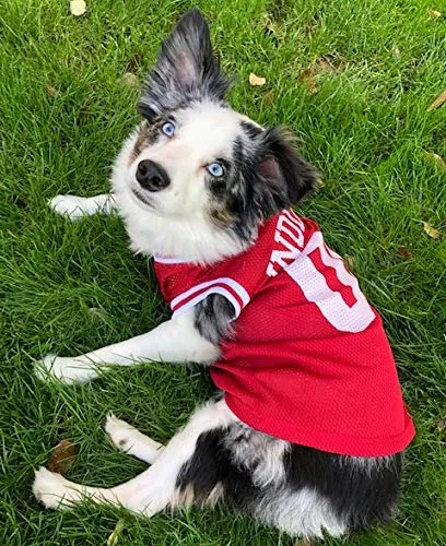 pets-first-ncaa-basketball-pet-jersey-indiana-hoosiers-dog-jersey-x-small-ind-4020-xs