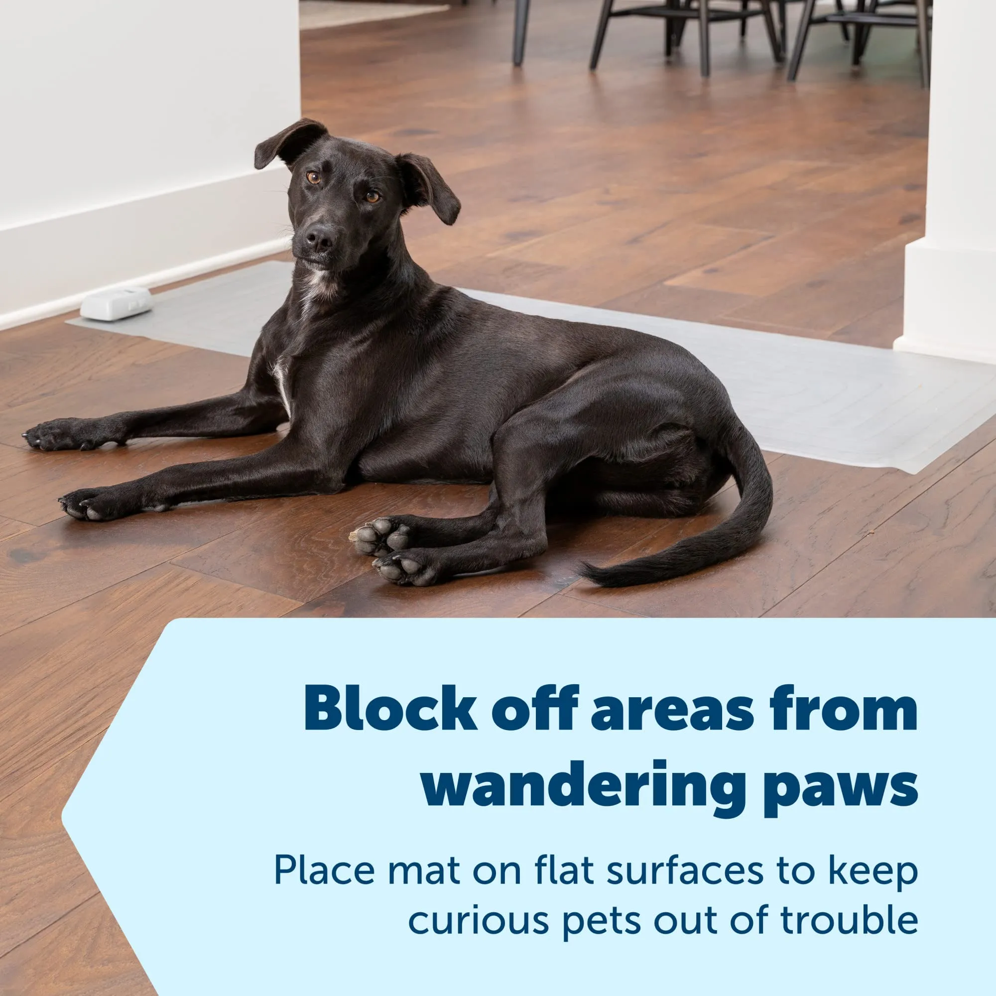 petsafe-scatmat-indoor-training-mat-7-correction-modes-protect-your-furniture-training-tool-for-dogs-and-cats-large-size-mat-48-in-x-20-in-pet-proof-your-home-battery-operated-mat