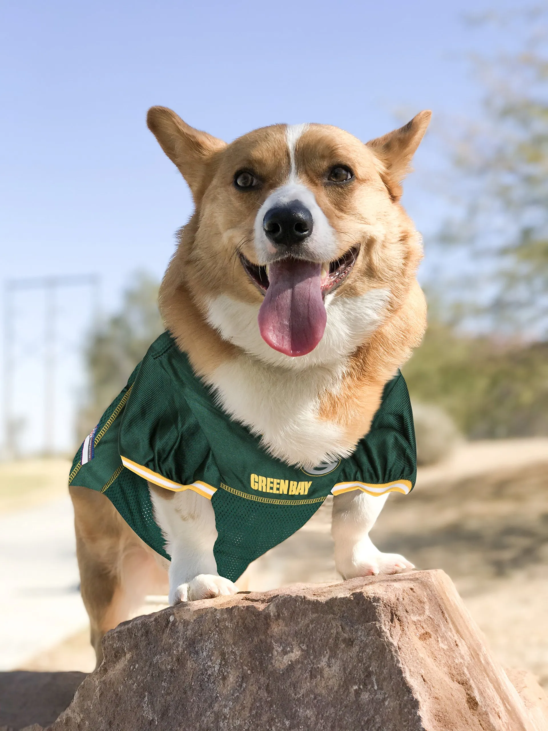 nfl-green-bay-packers-dog-jersey-size-small-best-football-jersey-costume-for-dogs-cats-licensed-jersey-shirt