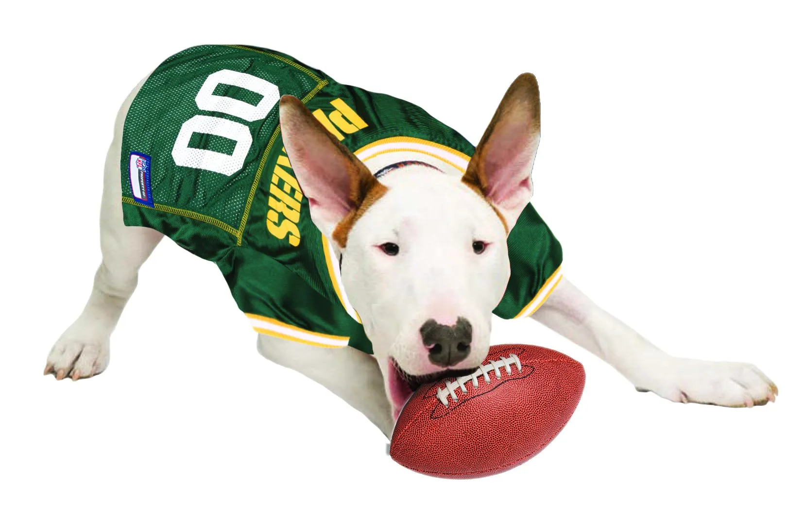 nfl-green-bay-packers-dog-jersey-size-small-best-football-jersey-costume-for-dogs-cats-licensed-jersey-shirt