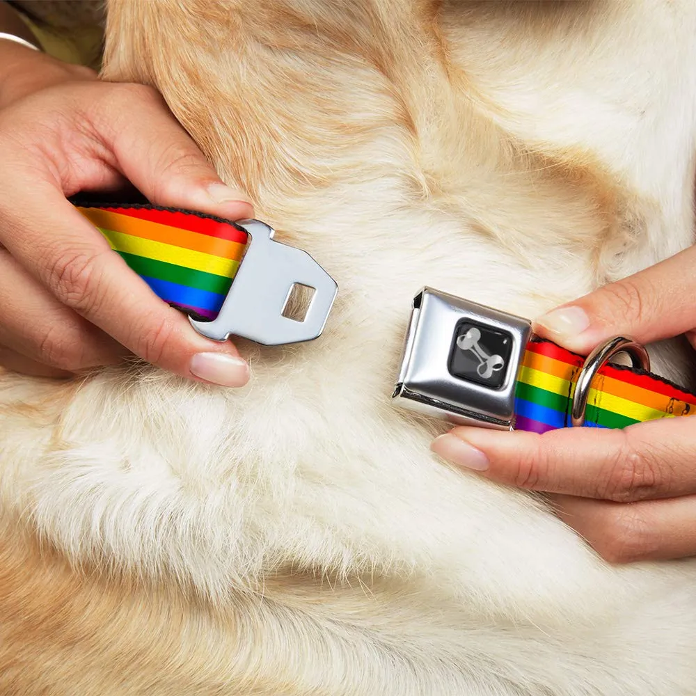 buckle-down-dog-collar-seatbelt-buckle-flag-pride-rainbow-15-to-26-inches-1-0-inch-wide-l-fits-15-26-1-0-wide-multicolor-dc-w30693-l